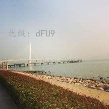 Ⱦ